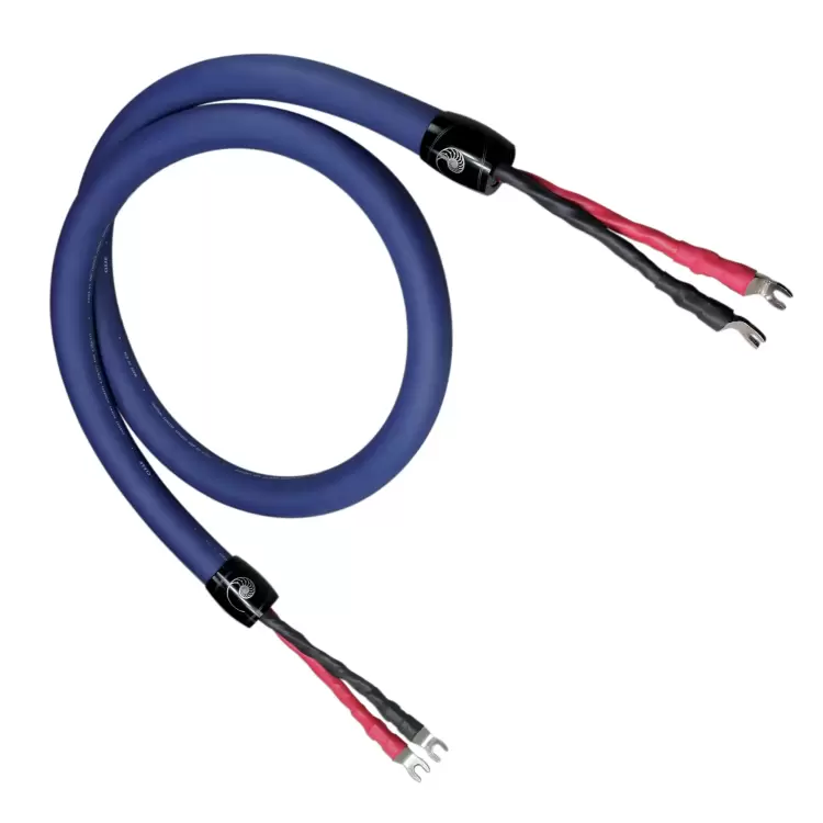 Cardas Audio Clear Beyond Speaker