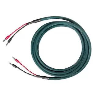 Cardas Audio Parsec Speaker