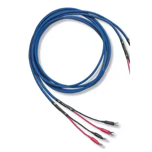 Cardas Audio SE 9 MP Speaker