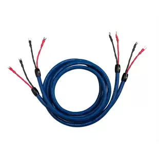 Cardas Audio Clear Cygnus Speaker