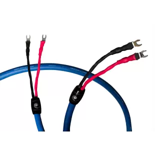 Cardas Audio Clear Speaker