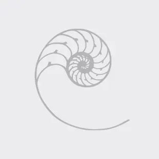 Cardas Audio Headphone Interconnects